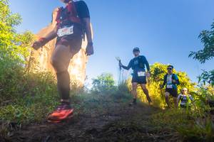 BIB: 
                            <button type="button" onclick="openModal(19343236)" class="btn btn-primary btn-sm float-right btn-popup" data-toggle="modal" data-target=".modal-high-quality">
                        <i class="fas fa-shopping-cart"></i> Add to Cart
                    </button>
                                            <button type="button" onclick="isThisMe(19343236, true)" class="btn btn-success btn-sm float-right btn-popup btn-isme hidden" data-toggle="tooltip" data-placement="bottom" title="นี่คือรูปของคุณใช่ไหม คลิกที่นี่เพื่อเอาเข้าอัลบั้ม">
                        <i class="fas fa-plus"></i> Add to album
                    </button>
                    <button type="button" onclick="isThisMe(19343236, false)" class="btn btn-warning btn-sm float-right btn-popup btn-isnotme hidden">
                        <i class="fas fa-ban"></i> Remove from album
                    </button>